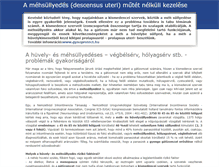 Tablet Screenshot of mehsullyedes.info